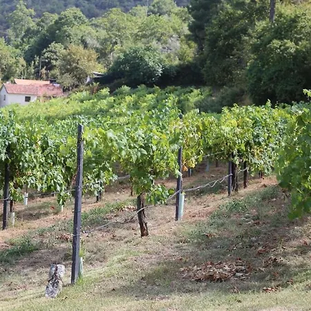 別荘 Quinta De Argens