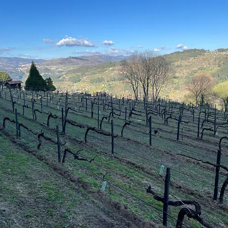 度假居 Quinta De Argens 辛方伊什