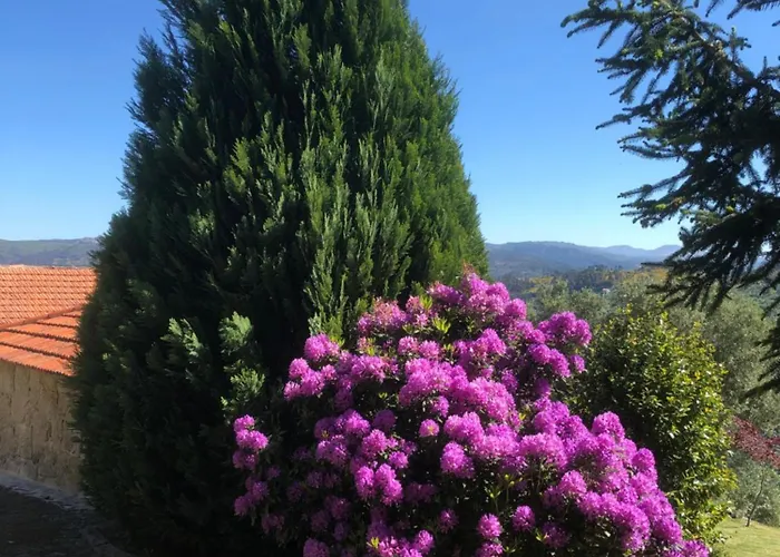 Quinta De Argens Σπίτι διακοπών Cinfaes